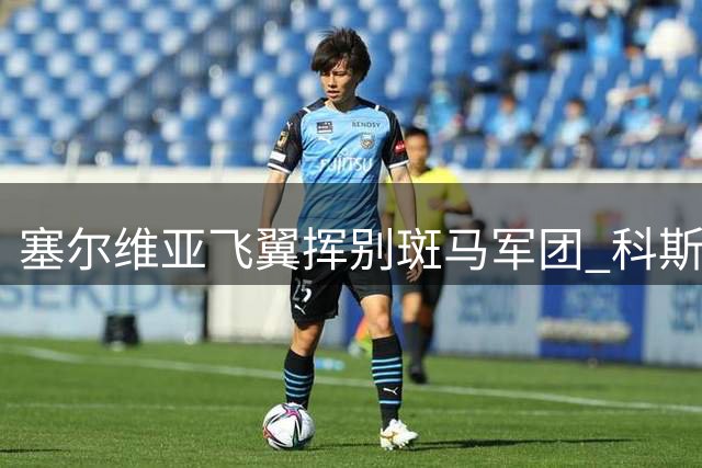 塞尔维亚飞翼挥别斑马军团 科斯蒂奇发文感恩尤文岁月
